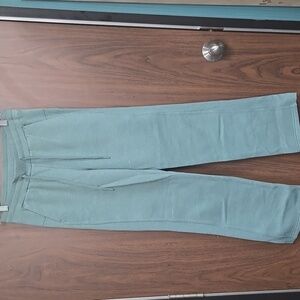 Danskin Sage Green Fleece Lined Lounge Pant